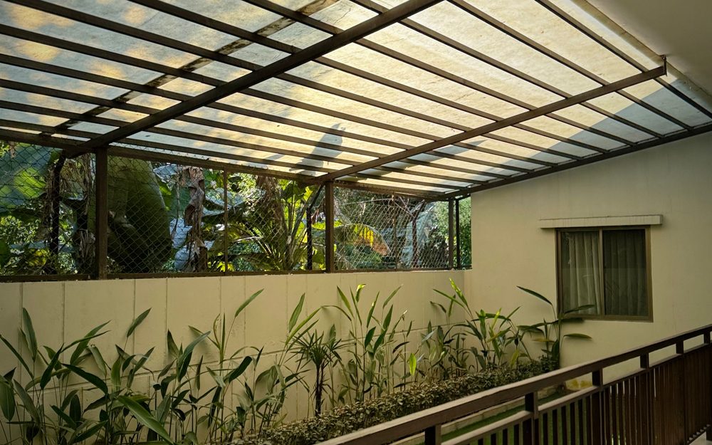 Clear-roofed patio cover attached to a house wall, sheltering a planted terrace with a railing