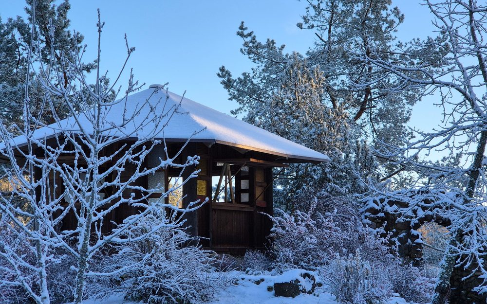 Wooden gazebo with a layer of snow on its roof, surrounded by frosted trees under a blue sky