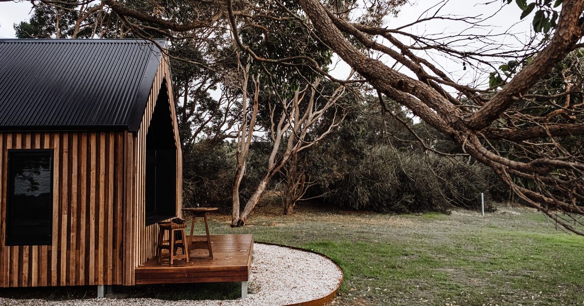 Small wood-clad cabin with a dark metal roof and a wooden deck, under a large spreading tree on a lawn